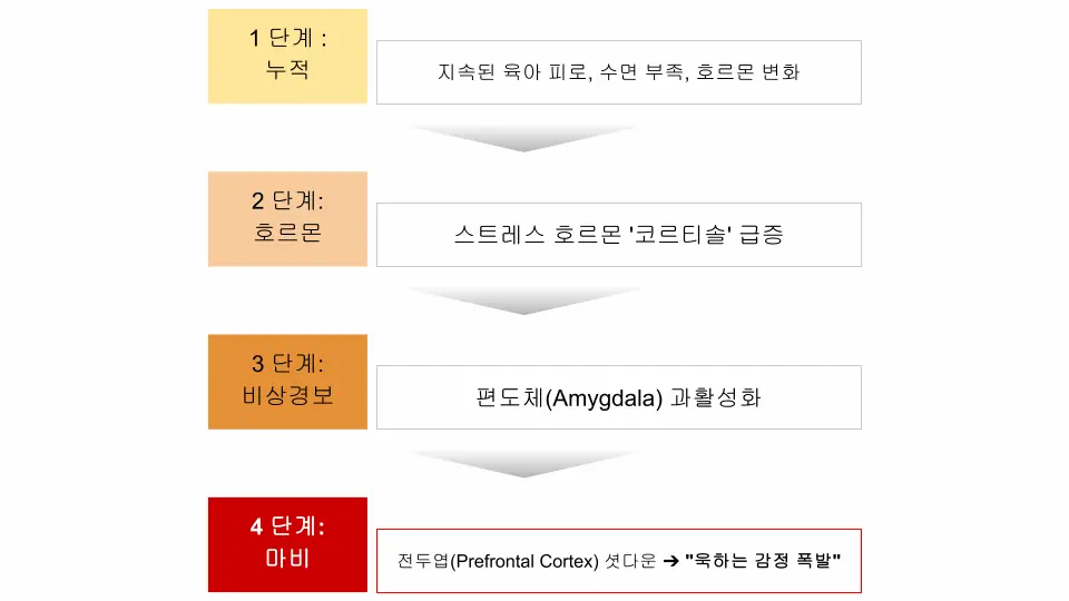 육아 스트레스, 뇌의 감정 폭발 4단계 메커니즘에 의해 욱하고 소리를 지르게 된다.