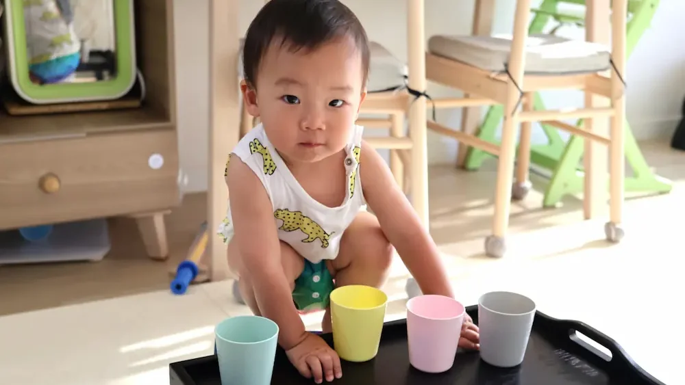 집안 모든 물건이 장난감인 초록이.